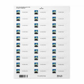 1930 Bezoek Chicago Poster Etiket (Full Sheet)