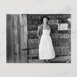 1930s het Collectie van het Bord van de Vergunning Briefkaart