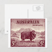 1934 Australian Merino Sheep Briefkaart (Voorkant / Achterkant)