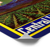 1940's Comet Lemon Fruit Crate Label Poster (Hoek)