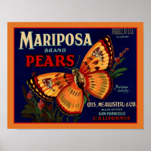 1940's Mariposa vlinderperen Poster