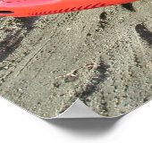 1955 550 Spyder Poster (Hoek)