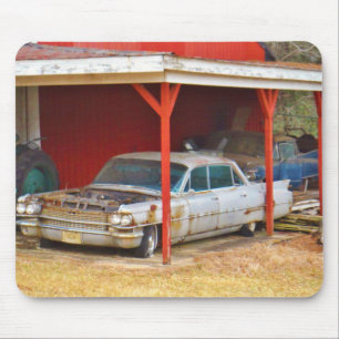 1963 Silver Sadan deville Muismat