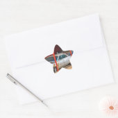 1963 Silver Sadan deville Ster Sticker (Envelop)