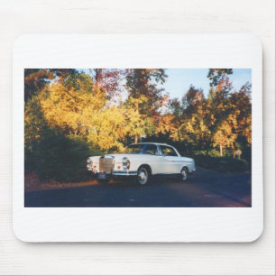 1965 Mercedes-Benz 220SEb coupe Muismat