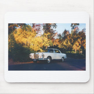 1965 Mercedes-Benz 220SEb coupe Muismat