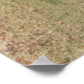 1966 GTO-POSTER POSTER (Hoek)