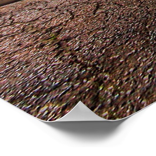 1969 Dodge Coronet R/T Poster (Hoek)