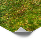 1970 Dodge-lader Poster (Hoek)