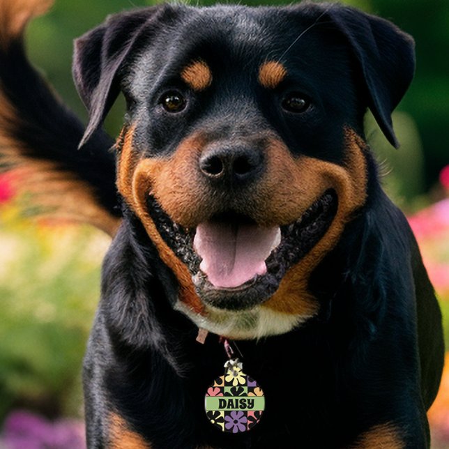 1970 Retro Daisies Huisdierpenning (Creator heeft geüpload)