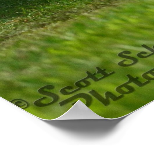 1971 Dodge Challenger R/T 440 sixpack Poster (Hoek)