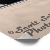 1971 Plymouth Hemi Cuda Poster (Hoek)