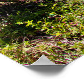 1972 Cutlass Poster (Hoek)