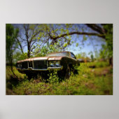 1972 Cutlass zachte focus Poster (Voorkant)