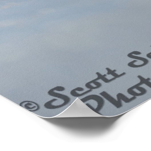 1977 Trans-AM poster (Hoek)