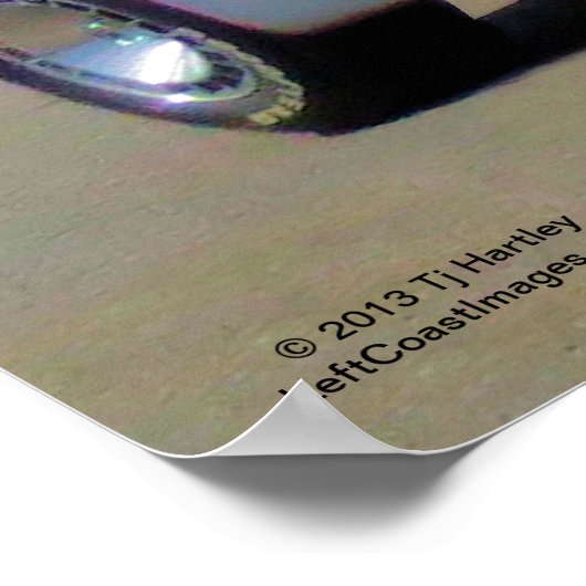 1979 TRANS AM 6.6L POSTER (Hoek)