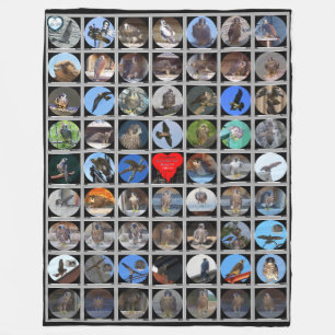 1998-2019 Peregrine Falcons of Rochester, NY Fleece Deken
