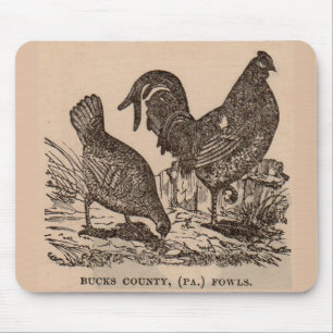 19e eeuw print Bucks County fowls kippen Muismat