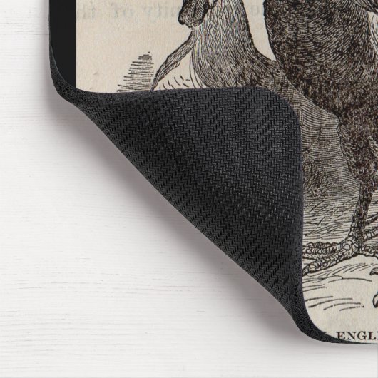 19e eeuw print grijs Engelse dorkings kippen Muismat (Hoek)