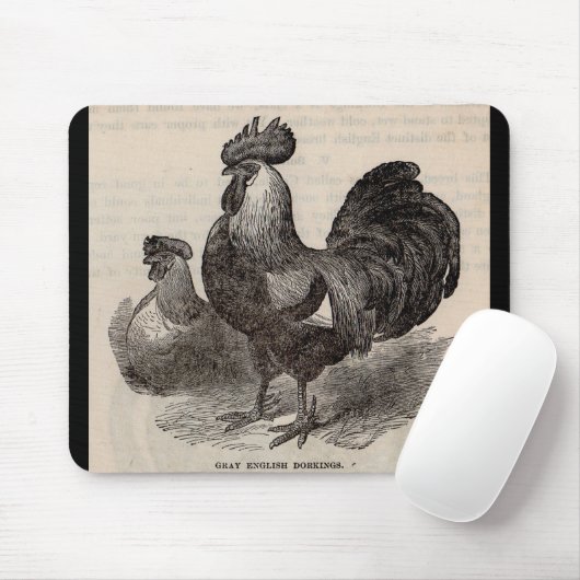 19e eeuw print grijs Engelse dorkings kippen Muismat (Met muis)