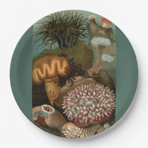 19e-eeuwse anemonen voor gedrukte zeeen papieren bordje