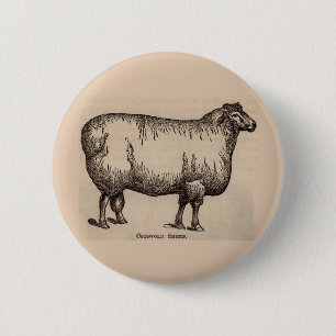 19e-eeuwse gedrukte Cotswold-schapen Ronde Button 5,7 Cm