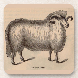 19e-eeuwse gedrukte Dorset ram Bier Onderzetter