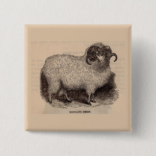 19e-eeuwse gedrukte hooglandschapen vierkante button 5,1 cm