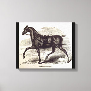 19e-eeuwse print Een Engels Roadster paard