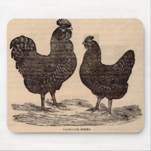 19e-eeuwse print Plymouth Rock hen en haan Muismat
