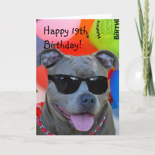 19ème carte de voeux heureuse de Pitbull (Devant)