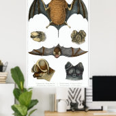 19th C. Bat Print (Thuiskantoor)