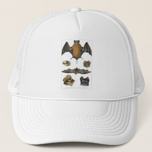 19th C. Bat Print Trucker Pet (Voorkant)