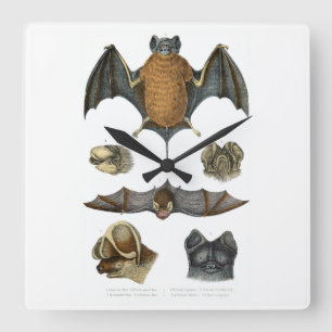 19th C. Bat Print Vierkante Klok