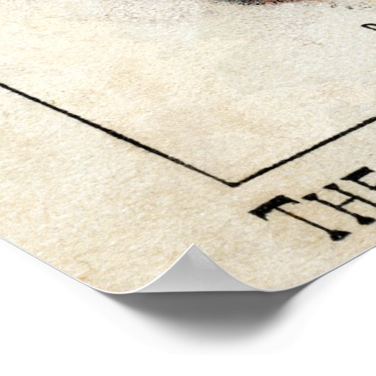 19th C. Indian Medicine Poster (Coin)