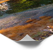 1.000.000 jaar B.C. Poster (Hoek)