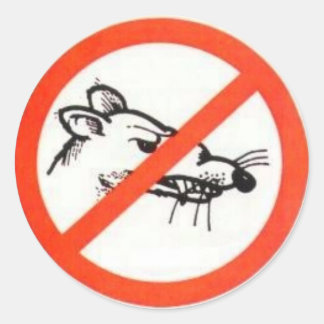 1,5 po Sans Sticker Rat