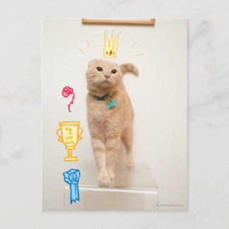 #1 Cat Briefkaart