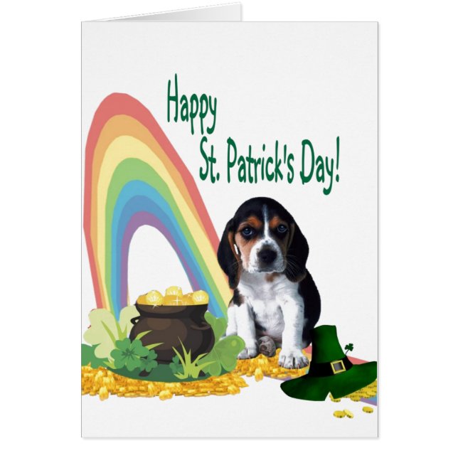 1. Chiot adorable de Basset Hound (Devant)