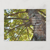 1 Corinthiens 13:13 Branches Arbre Carte postale (Devant)
