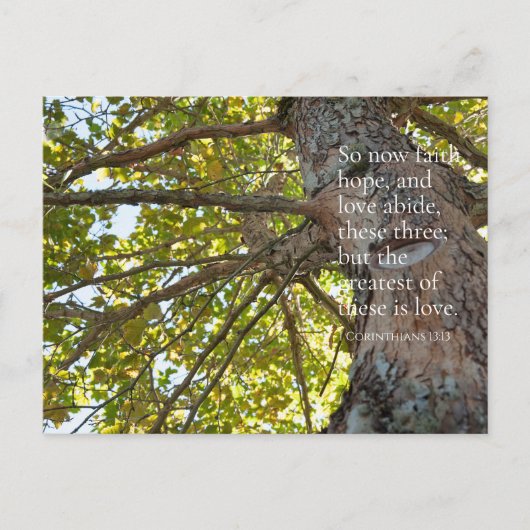 1 Corinthiens 13:13 Branches Arbre Carte postale (Devant)