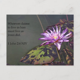 1 John 2:6 Paarse Pond Lily Post Card Briefkaart