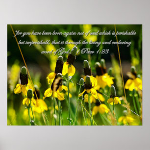 1 Peter 1:23 Inspirerend Poster