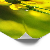 1 Peter 1:23 Poster Inspirationnel (Coin)