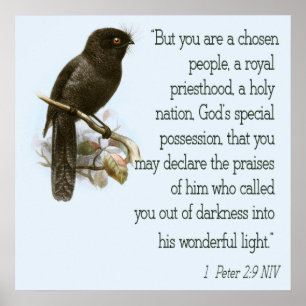 1 Peter 2:9 Christelijke Bijbelversie van het Post Poster