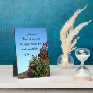 1 Peter 4:8 Bovenal, hou diep van elkaar Fotoplaat