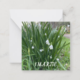 1 platte briefkaart