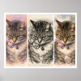 1 Stemming + 3 Sfeerbeelden = Totale Purrfectie Poster