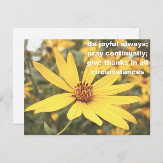 1 Thessaloniciens 5:16-18 Carte postale tournesol (Devant / Derrière)
