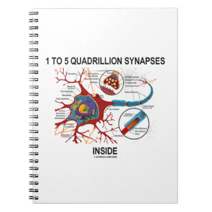 1 tot 5 Quadrillion Synapsen binnen de Synaps van Notitieboek